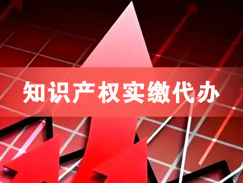汕尾知识产权实缴资本代办
